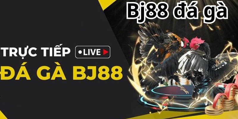 BJ88 Live