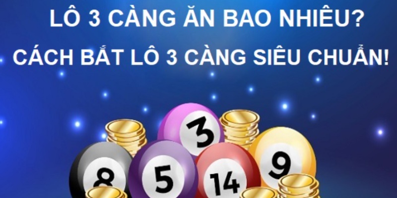 3 càng lô ăn bao nhiêu